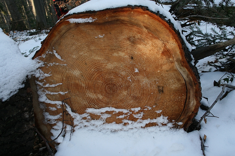 Turbacz 22.03.08 144